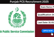 Punjab PCS Notification 2025