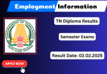 TN Diploma October Result 2025