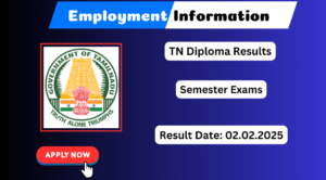 TN Diploma October Result 2025