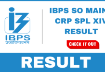 IBPS SO Mains Result 2025